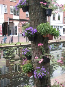 The Netherlands bicycle tour 171