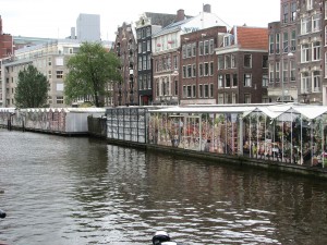 The Netherlands bicycle tour 258