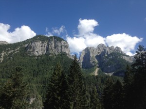 IMG_0251