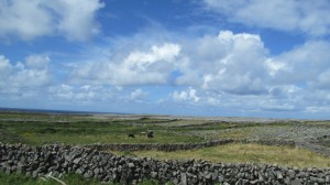 Ireland bicycle trip 2013 611
