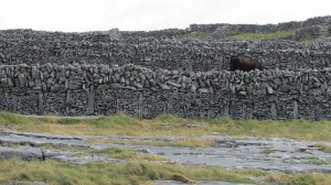Ireland bicycle trip 2013 616