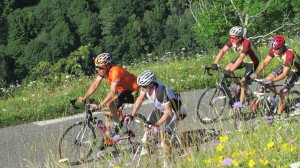 Pyrenees 1 142