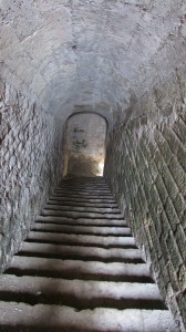IMG_2764