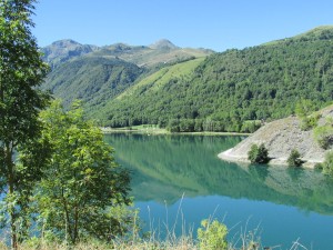 IMG_3801
