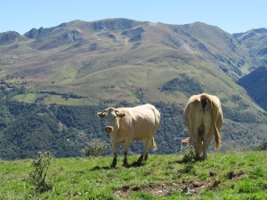 IMG_3819