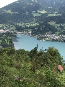 IMG_0438
