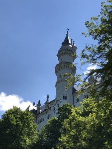 IMG_0599
