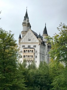 IMG_6679