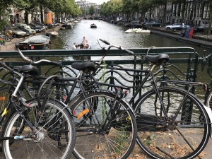 IMG_9344